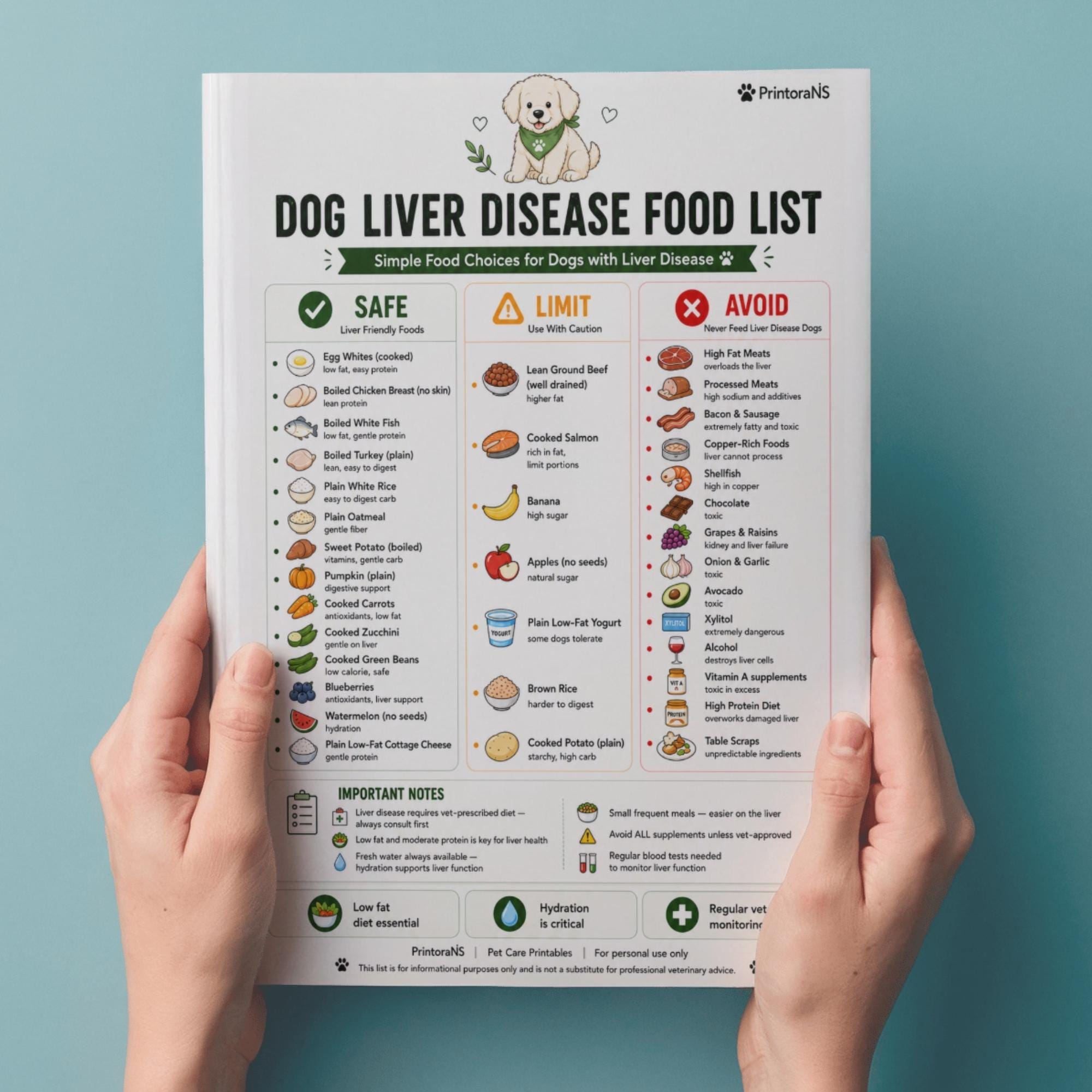 Dog Liver Disease Food List Printable PDF, Liver Friendly Dog Food ...