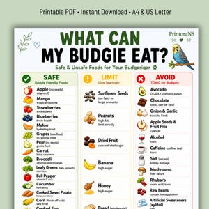 Op de afbeelding: Een afdrukbare PDF-tabel met de titel "WAT KAN MIJN PARKIEET ETEN?" geeft veilige, beperkte en giftige voedingsmiddelen voor parkieten weer. De tabel bevat fruit, groenten en andere voedingsmiddelen, met een kleurrijke illustratie van een parkiet.
