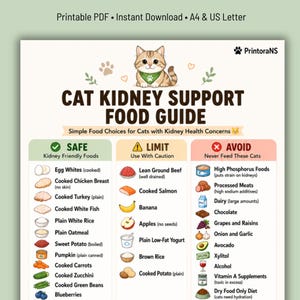 May include: A printable cat kidney support food guide with a cute cat illustration. The guide lists safe, limited, and avoid foods for cats with kidney health concerns. Includes images of food items like cooked chicken breast, salmon, and blueberries.