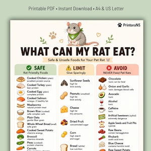 Pode incluir: Um gráfico PDF imprimível intitulado "O QUE MEU RATO PODE COMER?" lista alimentos seguros, limitados e inseguros para ratos de estimação. O gráfico inclui ilustrações de vários alimentos, como frango cozido, sementes de girassol e chocolate. A parte superior do gráfico apresenta um rato de desenho animado.