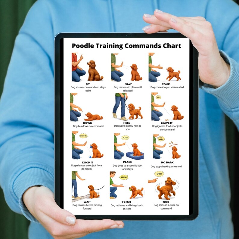 Poodle Training Commands Chart Printable, Dog Commands List, Puppy ...