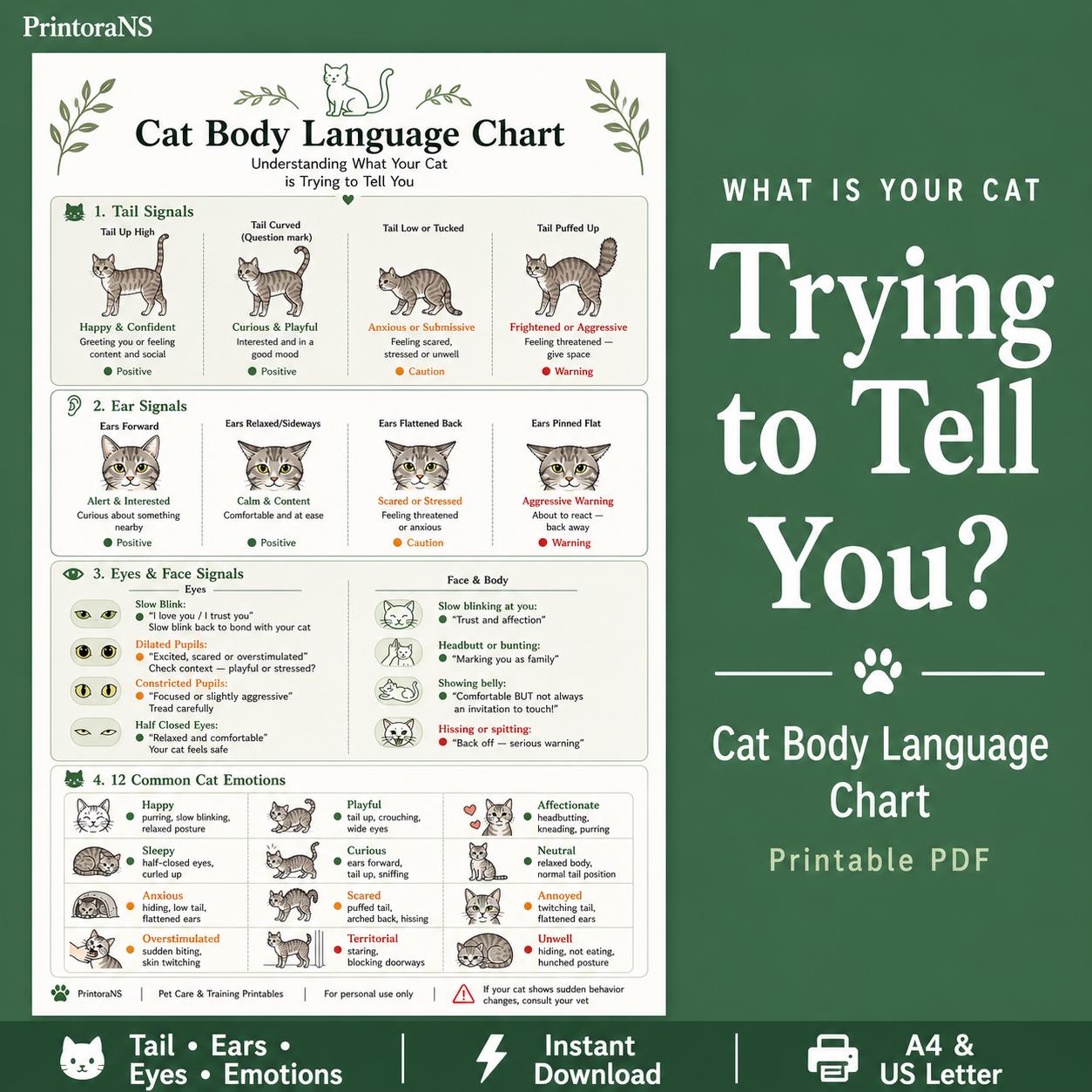Cat Body Language Chart Printable PDF Cat Emotions Guide What Your cat-body-language-chart-printable-pdf-cat-emotions-guide-what-your