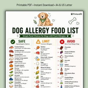 Może przedstawiać: Wydruk PDF zatytułowany "DOG ALLERGY FOOD LIST" z ilustracją psa z kreskówki. Tabela kategoryzuje żywność jako "SAFE", "LIMIT" i "AVOID" dla psów z alergiami. Zawiera przykłady żywności, takie jak gotowany łosoś, kurczak i czekolada.