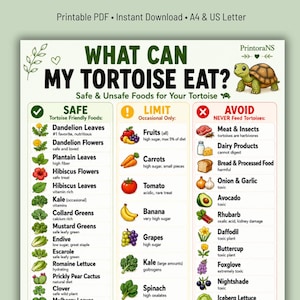 Puede incluir: Una infografía imprimible titulada "¿Qué puede comer mi tortuga?" enumera alimentos seguros, limitados e inseguros para las tortugas. La tabla incluye ilustraciones de varias frutas, verduras y otros alimentos, con un gráfico de tortuga.