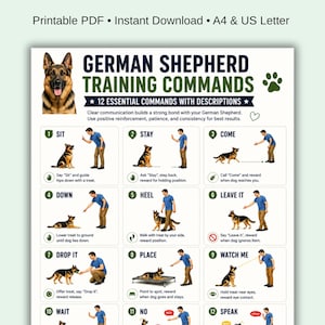 Puede incluir: Un PDF imprimible con una guía de entrenamiento para pastores alemanes. La guía incluye 12 comandos esenciales con descripciones, ilustrados con imágenes de un perro y una persona que demuestra cada comando. Los comandos incluyen "Siéntate", "Quieto" y "Ven".