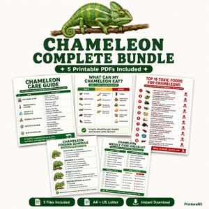Chameleon Complete Bundle Printable PDF | Chameleon Care Guide | Chameleon Owner Gift | Gecko Food List Checklist Digital Download
