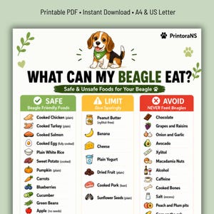 Puede incluir: Una tabla informativa imprimible titulada WHAT CAN MY BEAGLE EAT? con una ilustración de un beagle. El documento está organizado en tres columnas etiquetadas como SAFE, LIMIT y AVOID, enumerando varios alimentos con iconos para cada categoría.