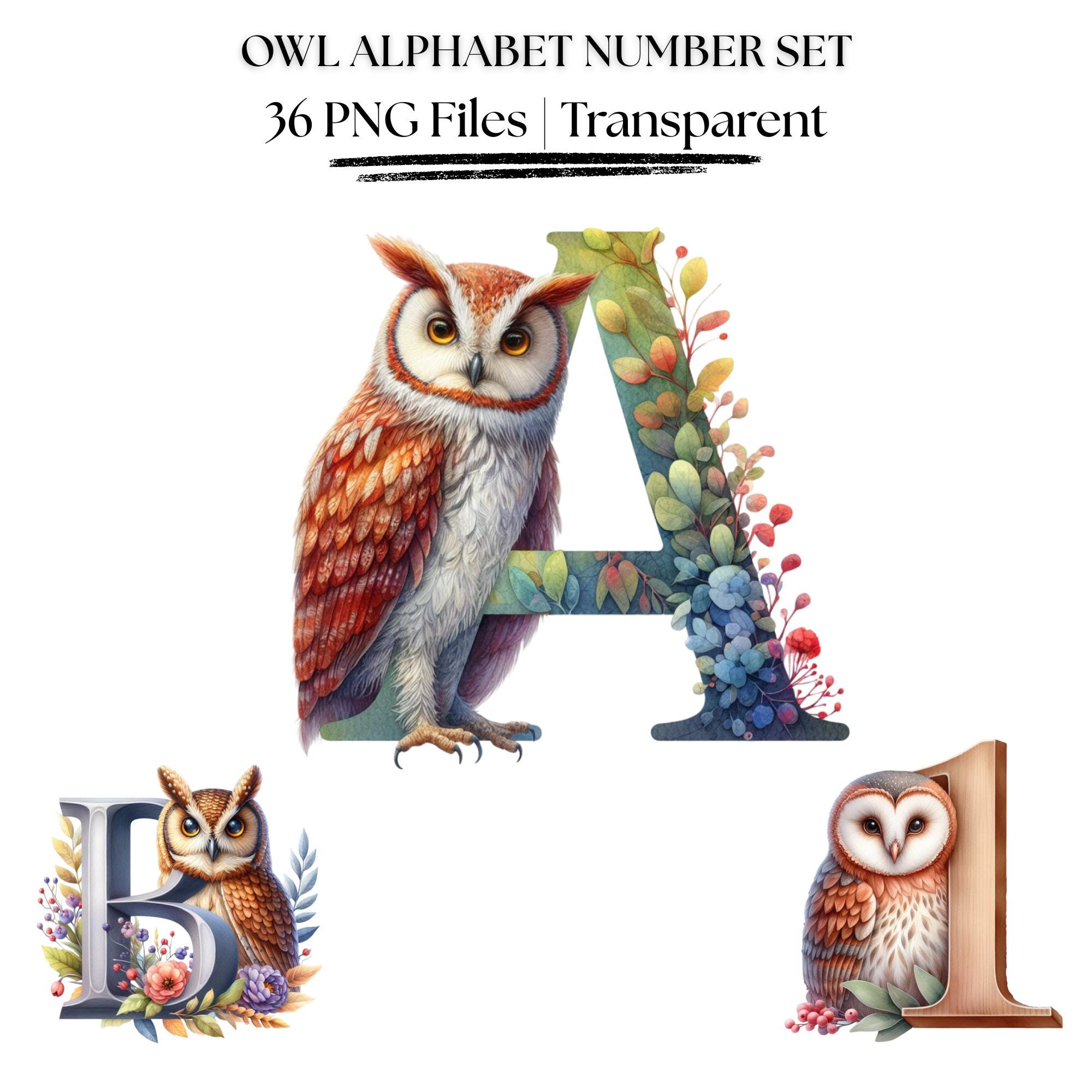 Woodland Owl Alphabet and Numbers Clipart | Watercolor ABC PNG Set (Digital Download)