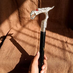 May include: A silver dragon-head cane with a red gem eye. The handle is silver, and the shaft is black. The cane is held against a brown fabric background.