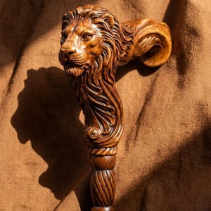 Op de afbeelding: Een bruine houten wandelstokhandgreep uitgesneden in de gedetailleerde vorm van een leeuwenkop met een vloeiende manen. Het hout heeft een gepolijste afwerking met zichtbare houtnerfpatronen en gaat over in een spiraalvormige cilindrische schacht.