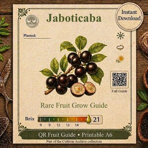 Digitala fruktträdsetiketter, utskrivbara, växtetiketter, fruktträdgårdsetikettsystem, QR-odlingsguide, kultivararkiv, PDF, trädetiketter, växtetiketter, GRATIS