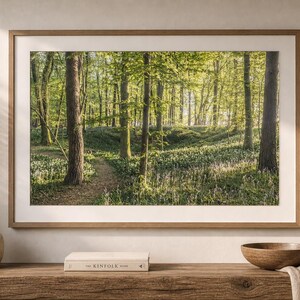 May include: A framed print depicting a sunlit woodland scene. The photograph shows tall trees with green leaves, a pathway, and a bed of wildflowers. The frame is light brown. The image evokes a sense of peace and natural beauty.