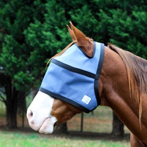 High Brow Eye Protection Shade