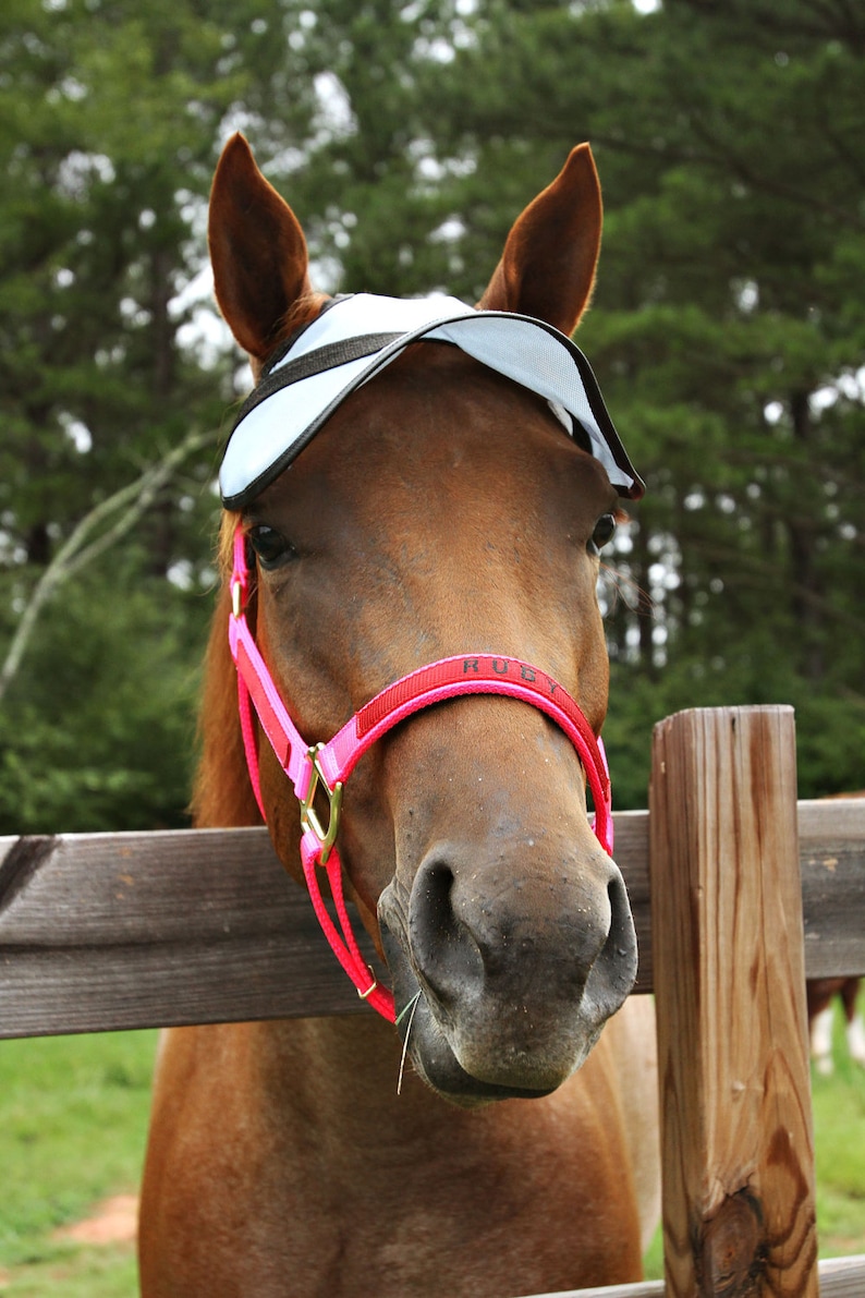 Horse Sun Visor trail riding gear great for groups or clubs. Etsy