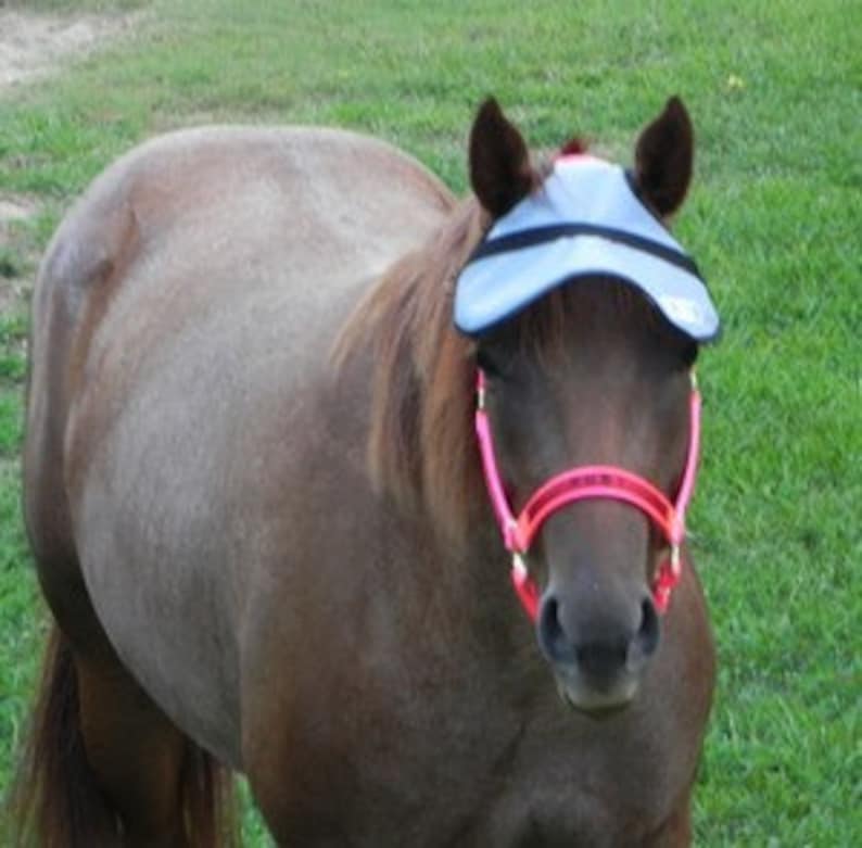 Horse Sun Visor trail riding gear great for groups or clubs. Etsy
