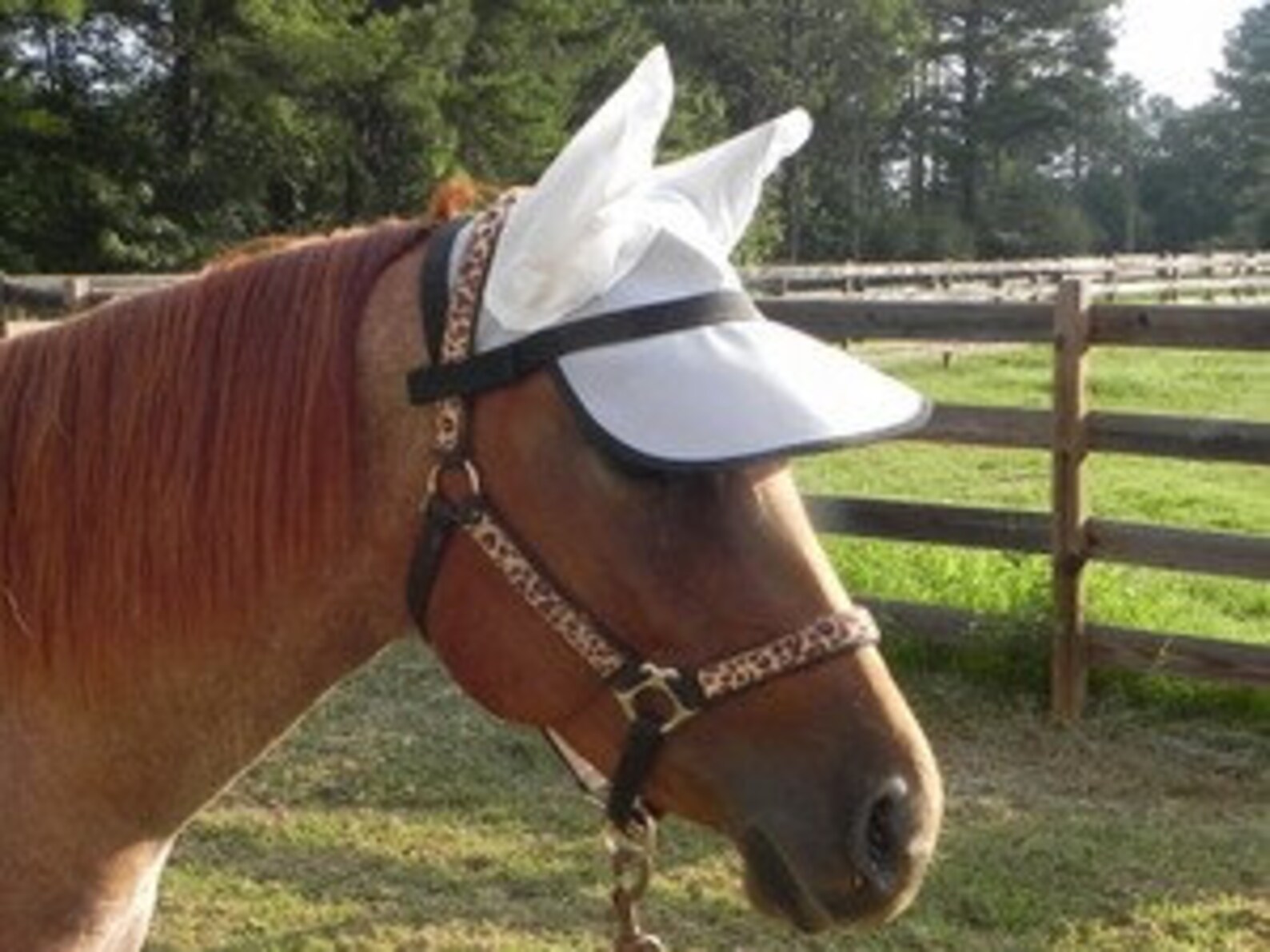 Horse Sun Visor With Ears 90 UV Proof Strong Comfortable Etsy