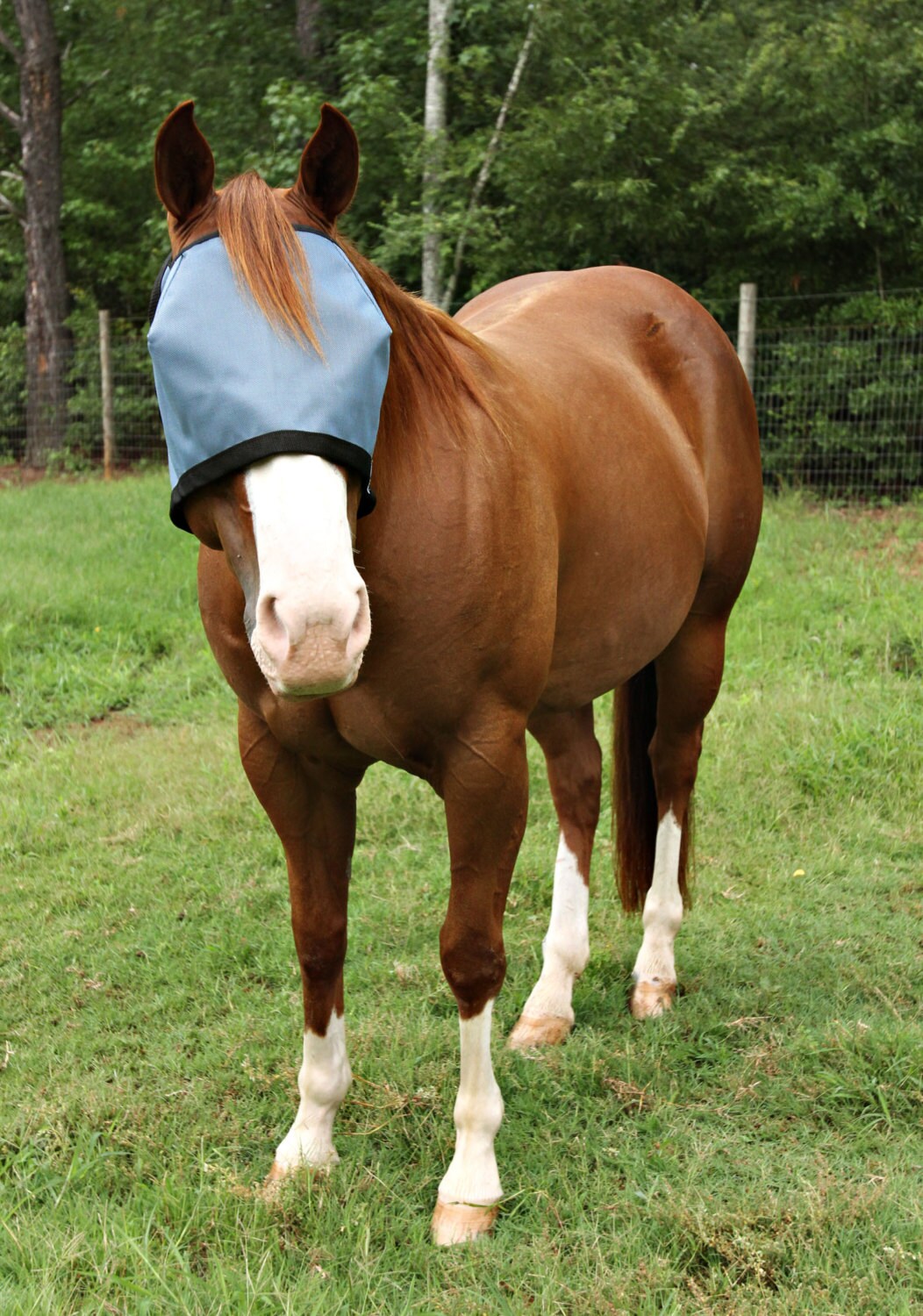 90 UV proof eye protection shade doubles as fly mask for Etsy