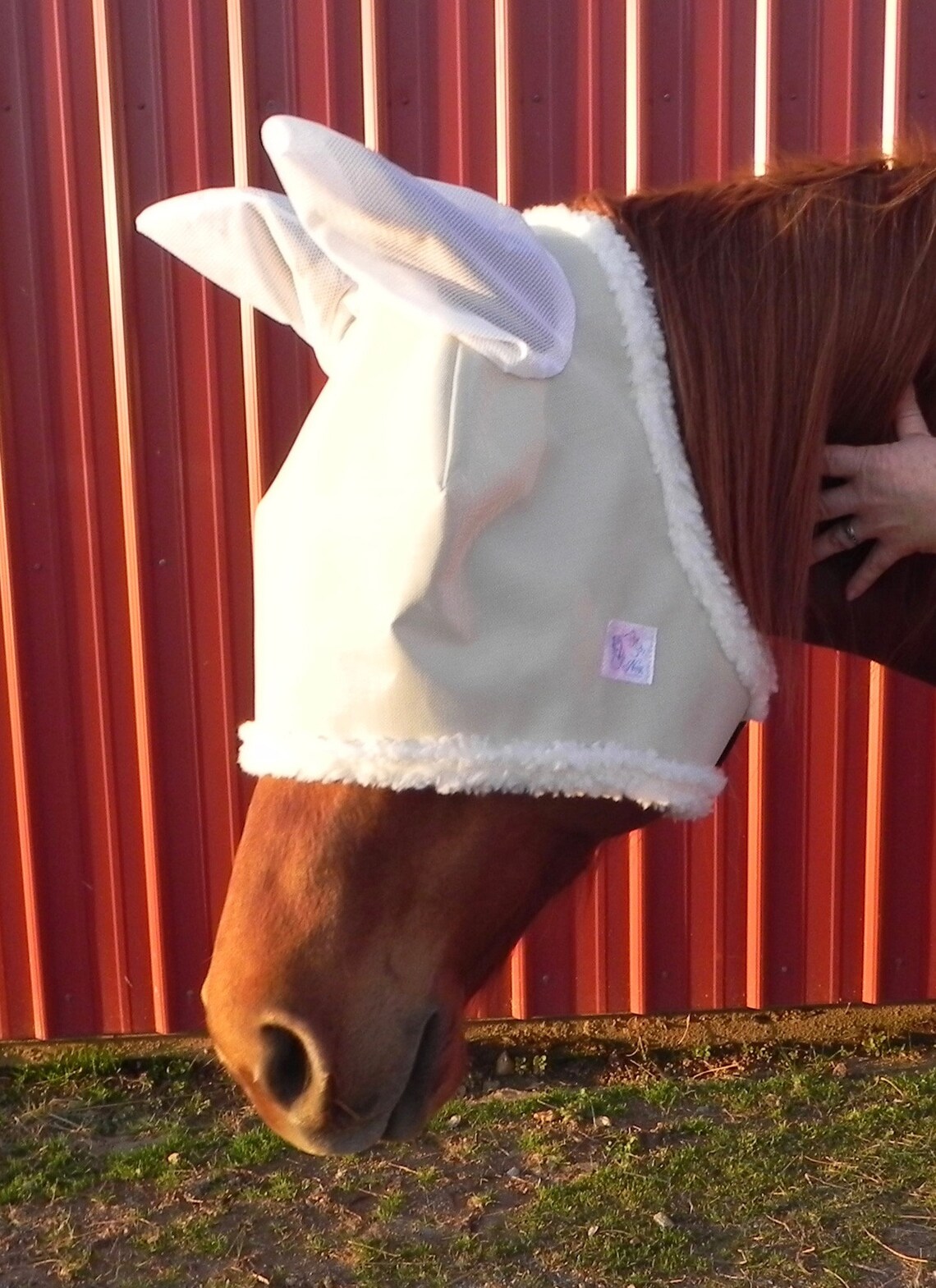 Nag Horse Ranch 90 UV proof eye protection shade with ears Etsy