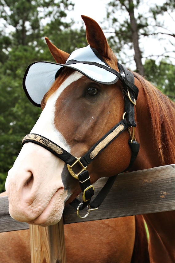 Horse Sun Visor with ears equine sun Horse UV protection cute trail riding! 