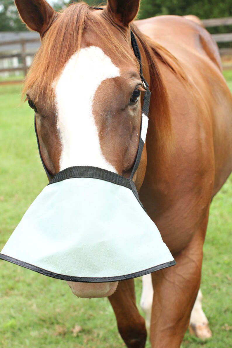 Halter Free Nose Shade for Horses With White Muzzles 90 UV Etsy