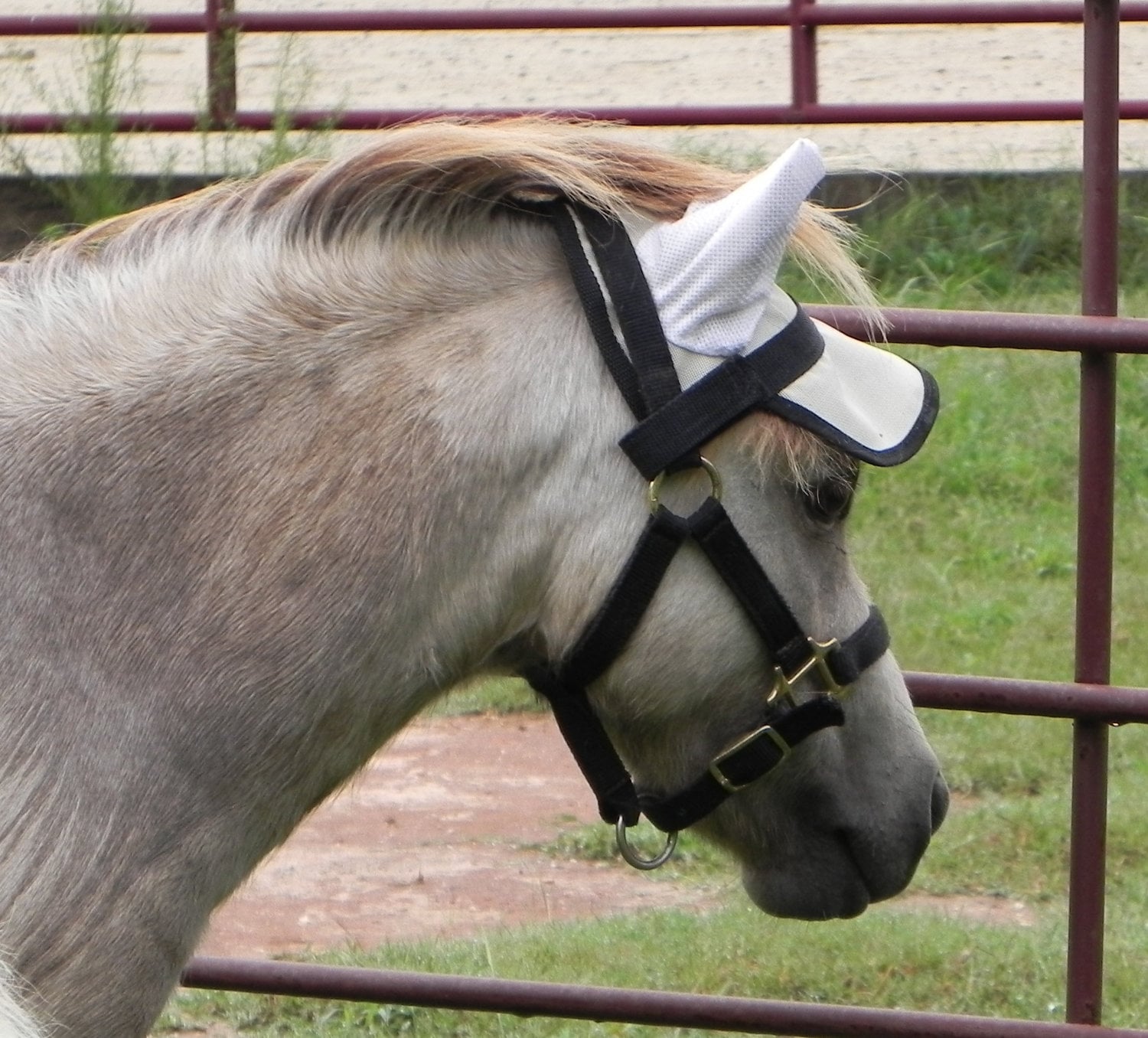 Horse Sun Visor met Oren 90% UV-proof sterk comfortabel - Etsy Nederland