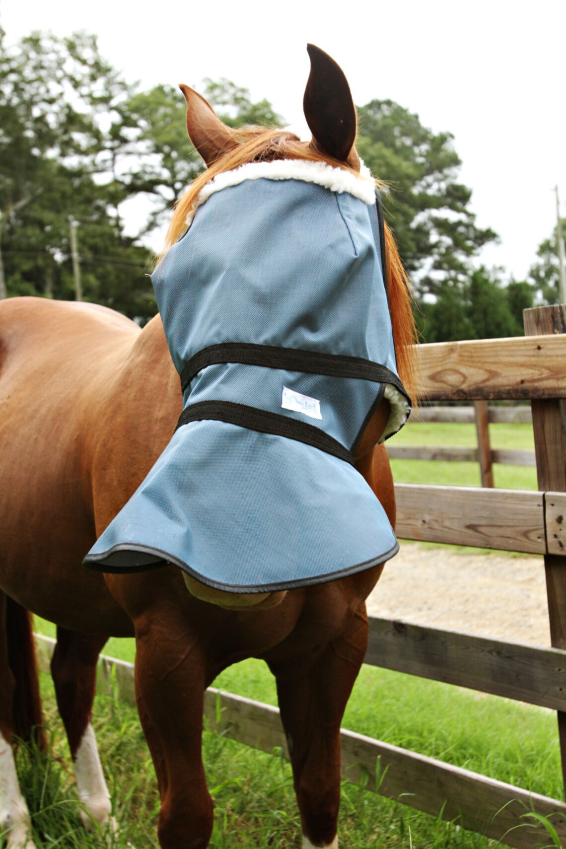 90 UV proof full face shade for horses' with white Etsy