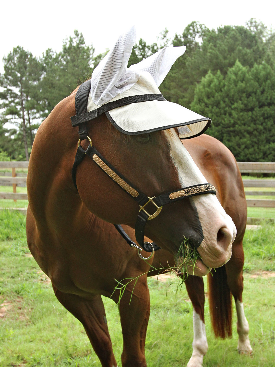 Horse Sun Visor With Ears 90% UV Proof Strong Comfortable - Etsy