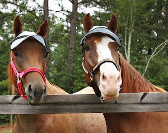 Horse Sun Visor trail riding gear great for groups or clubs. Very cute too