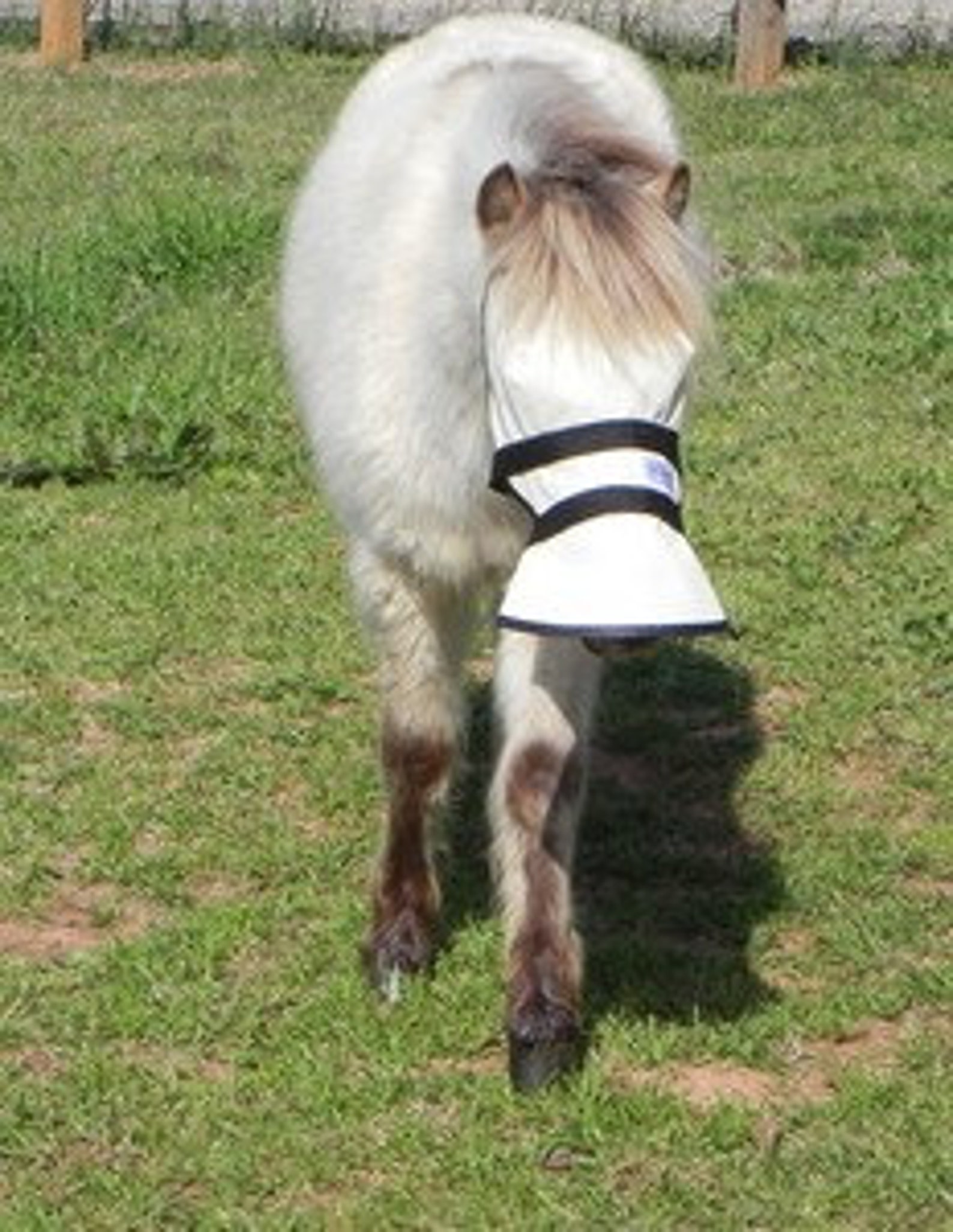 90 UV Proof Full Face Shade for Horses' With White Etsy