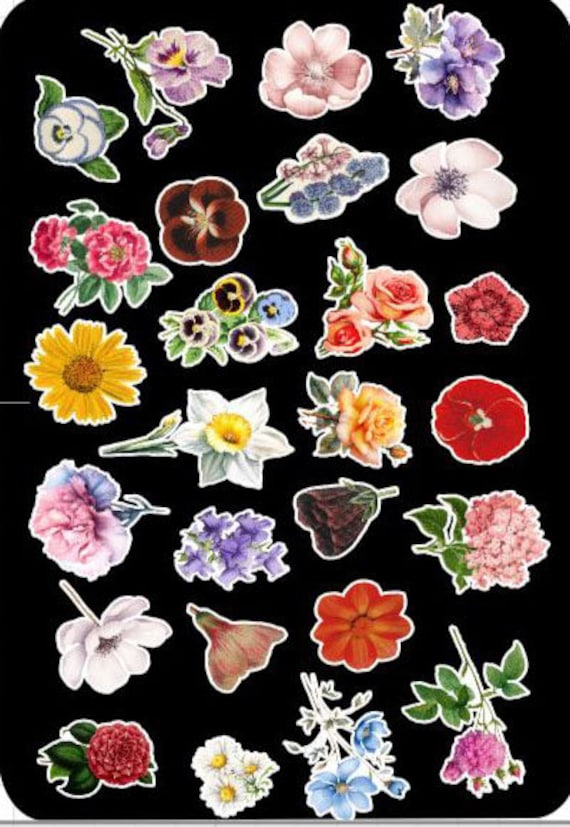 Aazon.co: 585 Ini Flower Stickers For Scrapbooking, Boho Tiny Cute