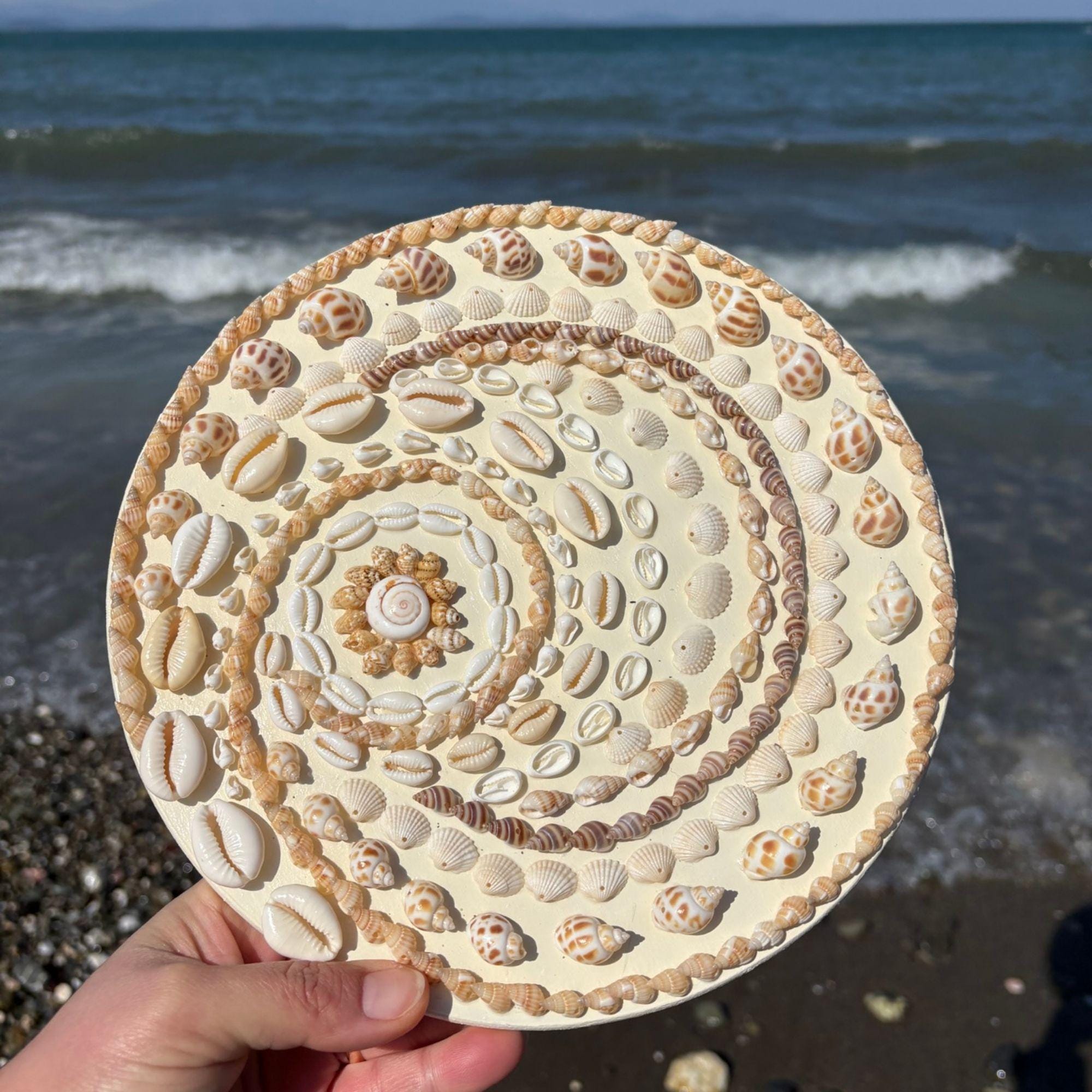 Seashell Wall Art, Coastal Beach Decor, Nautical Ocean Hanging, Round ...