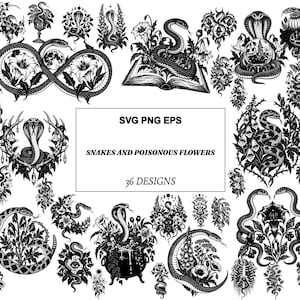 Könnte beinhalten: Eine Sammlung von 36 schwarz-weißen digitalen Illustrationen mit Schlangen und giftigen Blumen in verschiedenen Kompositionen, darunter Schlangen, die sich um Bücher, Kessel und Blumenarrangements winden, mit dem Text SVG PNG EPS SNAKES AND POISONOUS FLOWERS 36 DESIGNS.