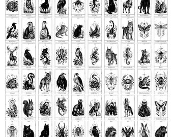 60 Witch Familiar Oracle Supernatural Creatures Companions Divination Fortunetelling Metaphysical Illustrations Collection SVG PNG