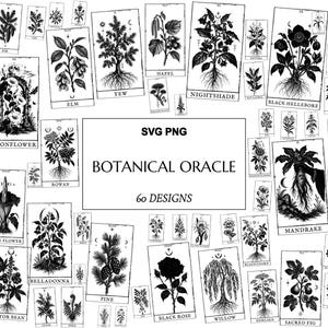 Pode incluir: Uma coleção de sessenta designs de cartas de oráculo botânico em preto e branco com ilustrações detalhadas de várias plantas como mandrágora, beladona e rosa negra. O texto central diz SVG PNG BOTANICAL ORACLE 60 DESIGNS.