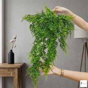 Può includere: Una vivace felce artificiale verde con fronde a cascata. La pianta è tenuta in mano, mostrando il suo aspetto lussureggiante e pieno. Le foglie della felce sono di un verde brillante e naturale, perfette per aggiungere un tocco di natura a qualsiasi spazio.