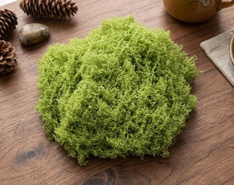 Musgo artificial para manualidades, terrarios, jardines de hadas y decoración del hogar (20 g)