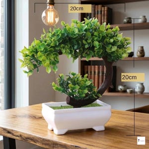 Könnte beinhalten: Ein dekorativer Bonsai-Baum in einem weißen rechteckigen Topf. Der Baum hat grüne Blätter und einen braunen Stamm. Der Topf ist 20 cm breit und 20 cm hoch. Der Bonsai steht auf einem Holztisch.
