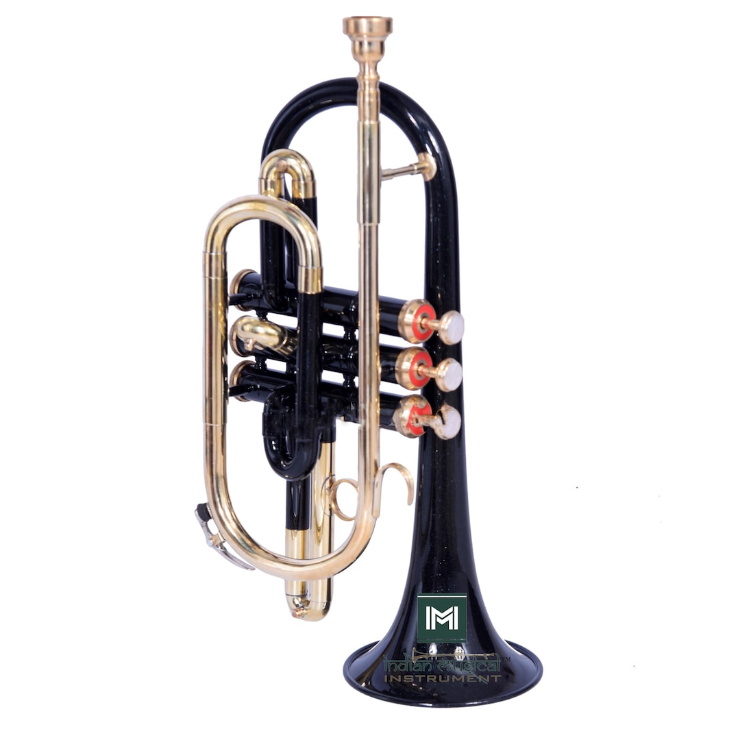 Cornet Trumpet Brass Musical Instrument With Mouthpiece and Hard Case ...