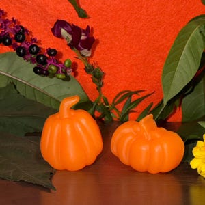 Puede incluir: Dos pequeños objetos de color naranja brillante con forma de calabaza, con crestas verticales y tallos. Las calabazas están colocadas una al lado de la otra, rodeadas de hojas verdes, bayas moradas oscuras y una pequeña flor amarilla.