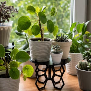 May include: A collection of various indoor plants in assorted pots, including a Pilea peperomioides, a succulent, and a cactus, arranged on a black metal plant stand with a geometric honeycomb base and on a wooden surface near a window.