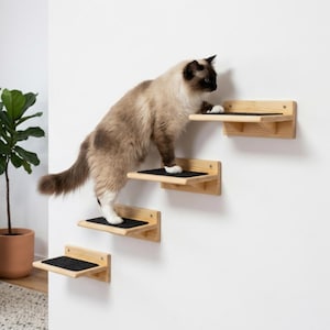 Può includere: Un gatto sale su una serie di gradini in legno per gatti montati a parete. Ogni gradino ha una superficie in moquette nera. I gradini sono fissati a un muro bianco. Una pianta in vaso è visibile sullo sfondo.