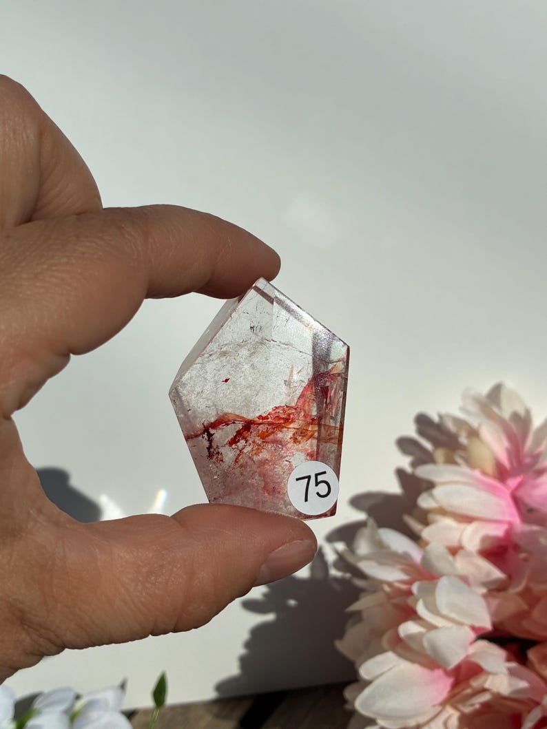 K&ouml;nnte beinhalten: Ein klarer Quarz-Kristall mit roten Einschl&uuml;ssen und facettierter Form wird gehalten. Ein kleiner wei&szlig;er Aufkleber mit der Nummer 75 ist angebracht. Rosa und wei&szlig;e Blumen sind im Hintergrund. Messung in Zentimetern.
