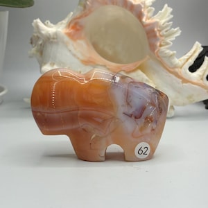 May include: A polished carnelian stone carving in the shape of a buffalo, featuring translucent orange and white banded patterns with a small white circular sticker labeled with the number 62 on the lower right side of the animal figure.