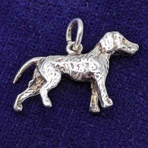 Può includere: Un ciondolo in metallo color argento a forma di cane in piedi con una superficie testurizzata che imita il pelo. Il ciondolo presenta un piccolo anellino circolare fissato sulla parte superiore della schiena, per appenderlo a una catena o bracciale.