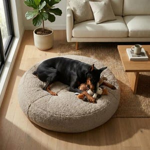 May include: A black Doberman Pinscher dog rests on a round, beige dog bed. The dog bed has a textured, plush surface. The dog is lying down with its head near a collection of stuffed animal toys.