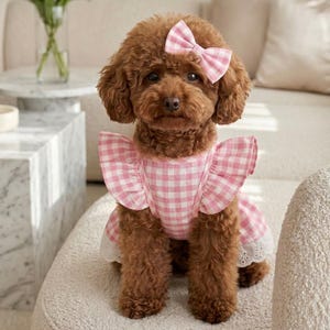 May include: A brown toy poodle wearing a pink and white gingham dress with ruffled sleeves and a matching bow. The dress has a white lace trim at the hem. The dog is sitting on a cream-colored cushion.