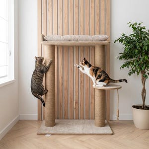 Könnte beinhalten: Ein Kratzbaum mit beigefarbenem Teppichsockel, zwei mit Sisal umwickelten Pfosten und einer Plattform mit beigem Kissen. Eine getigerte Katze klettert an einem Pfosten hoch, während eine Schildpattkatze auf der Plattform spielt. Im Hintergrund befindet sich eine Holzwand mit Lamellen.