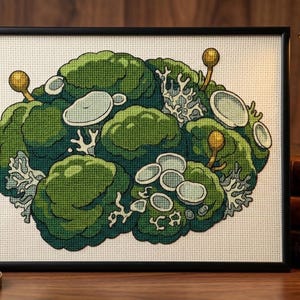 May include: A framed cross-stitch embroidery featuring a cluster of green moss, light gray lichen, and small golden-yellow spherical growths on a white Aida cloth background. The artwork is enclosed in a simple black rectangular frame.