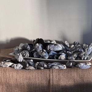 May include: A collection of dark blue and grey mussel shells with white barnacle clusters, arranged in a white rectangular ceramic dish and scattered on the surface in front, showcasing natural textures and varied shell shapes and sizes.