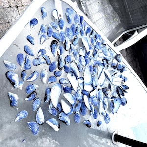 May include: A collection of blue mussel shells, with a pearlescent interior, scattered on a light-coloured surface. The shells vary in size and shape, creating a natural, organic pattern. The shells are a deep blue colour.